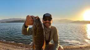 FISHING THE SHORE - CASTAIC LAKE DAM