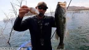 【Crush #12】-Wake Bait Fishing- Lake Perris
