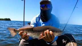 How To Catch Clean and Cook *REDFISH* On half Shell