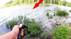Summer Bass Fishing in the WEEDS - Bank Fishing for SUMMER BASS