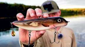 GIANT 50 EAGLE LAKE MUSKY!! - Fishing for Big Muskies in Shallow Water