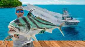 2 Days Chasing Every Fish in Costa Rica! Catch Clean & Cook