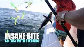 YELLOWFIN TUNA THE EASY WAY (STERLING TACKLE)