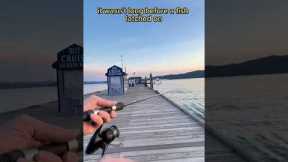 Bass fishing on a public dock 🐠🌆