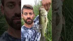 Bass fishing in the morning at Wolf Lake #fishing #fishinglife #fishingvideo