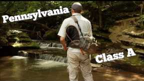 The Most Gorgeous Trout Stream?? / Fly-Fishing for Wild Brook Trout on Pennsylvania Class A Water