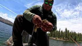 Fishing a NEW Lake & Catching a NEW Species(Shaver Lake)🎣🐟