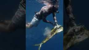 This Fish Can Fly Over 1,000 ft