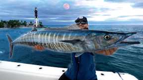 2 Days At Sea Chasing Floridas Most Elusive Fish! (Wahoo Catch Clean Cook)
