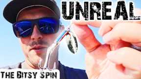 Using TINY BAITS On Lake Guntersville For TONS OF BASS!! (LOADED)