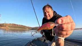 Table Rock Lake Fishing Report November 24, 2024