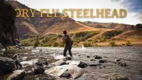Solo Camping and Fishing SKATERS for Early Fall Steelhead
