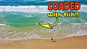 Catching & cooking the TASTIEST fish on the beach! Ultra-light tackle fun!
