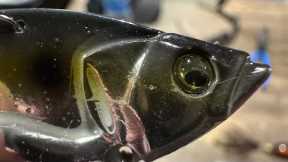 This Breakthrough New Lure Is Like Fishing With A Live Shad…