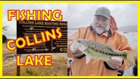 Fishing Collins Lake | Strange Looking Lightning Trout! 🤣😂🥲