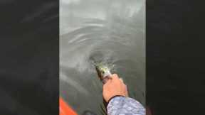 The TRUE meaning of fishing 🎣#fishing #bass #fish