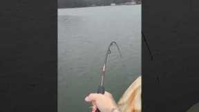 Early December Striper Fishing Lake Lanier