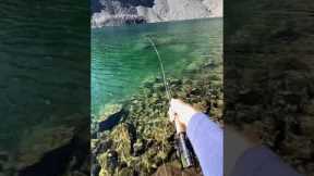 Fly fishing at 12,000 ft in an alpine lake