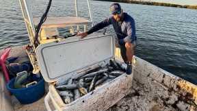 Catching a 1000$ worth of Fish Dip with a Cast Net!!!Mullet Dip Catch, Cook, Clean!!!