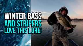 Winter Bass and Stripers Love This Lure!