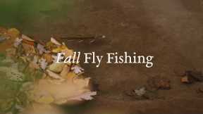Fall Fly Fishing