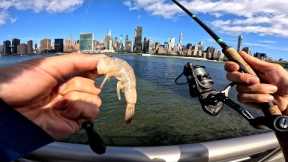 East River Fishing. How To Fish NYC Piers With Shrimp