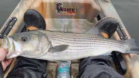 December Striper Fishing on Lake Lanier