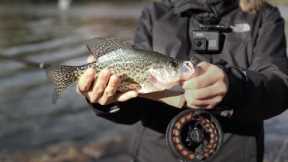 Fishing License and Prospect Park - Fishing Life Vlog