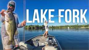 There are GIANTS EVERYWHERE (Lake Fork Summer Bass Fishing)