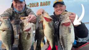 Lake Kissimmee PRE-SPAWN Winter Fishing For HUGE BASS