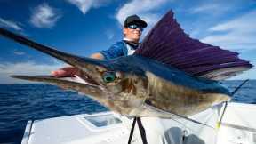 GIANT Sailfish! Dream Day Offshore! Catch Clean Cook (Sailfish)