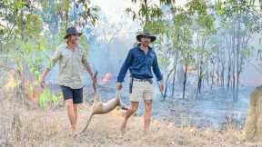 Kangaroo Catch & Cook in Remote Australia (ep2)