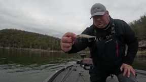 Table Rock Lake Fishing Report December 17,  2024 Jerk Bait Fishing