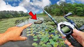 There’s a GIANT Problem with my New Favorite Fishing Lake (Terrifying)