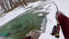 Fly Fishing Ice Filled Creeks for Huge Fish! (Erie Steelhead Pt 2)