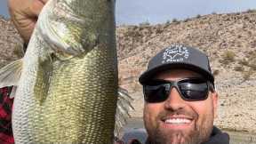 Lake Pleasant Fishing Report (12/26/2024) A-Rig Mania!!!
