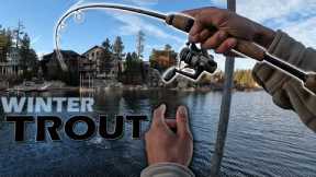 Trout Fishing Big Bear Lake: Catch & Cook