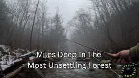 Fly Fishing In A HAUNTING Pennsylvania Forest!~(Ep31)