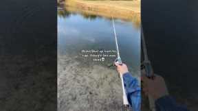 I thought this fish was DEAD!😭 #fishing #shorts