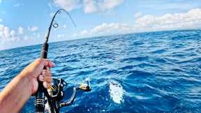 Catching Lunch, Unexpected Fish - CATCH AND COOK