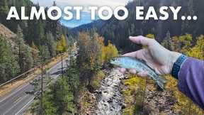 This State Has INCREDIBLE Roadside Fishing! (Tenkara Fly Fishing)