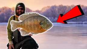 ICE FISHING for 3lb Bluegill!