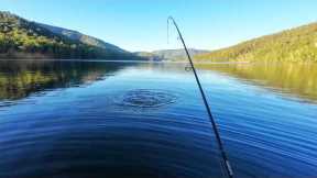 Quality Over Quantity: Fishing at Lake William Hovell