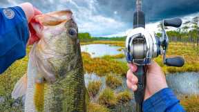 Fishing For MONSTER Bass In Gator-Infested Waters (Dangerous)