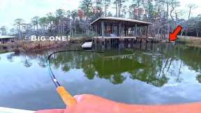 Solo Fishing under these Backyard Boat Docks and Marshes for my DINNER!...[Catch,Clean,Cook]