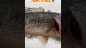 Fishing in PUBLIC 💀#largemouthbassin #bassfishing #funny #giantbass #largemouthnation #fyp #fishing