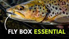Fly Fishing’s Most Overlooked Flies | Module 3, Section 6