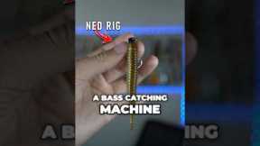This Lure is a Bass Catching MACHINE! #fishing