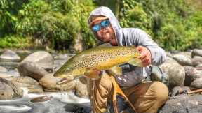 Fly Fishing  NZ North Island BackCountry Brown Trout!