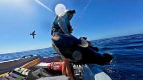 SOLO ADVENTURE Catch and Cook